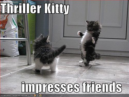 Thriller Kitty impresses friends