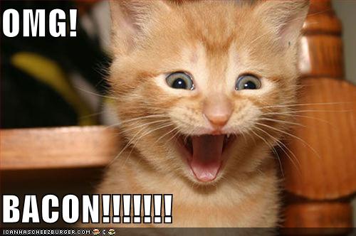 funny-pictures-kitten-is-excited-about-bacon.jpg