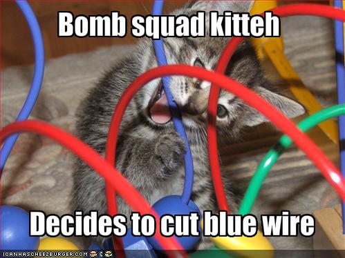 Bomb squad kitteh Decides to cut blue wire