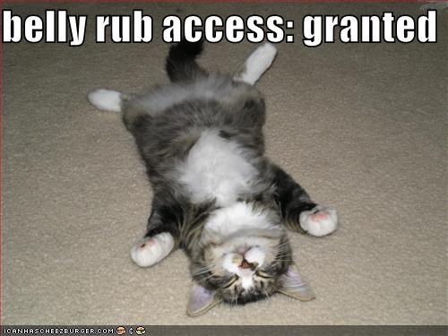 belly rub access: granted