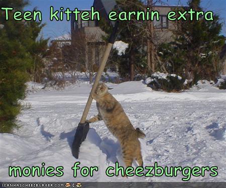 Teen kitteh earnin extra monies for cheezburgers