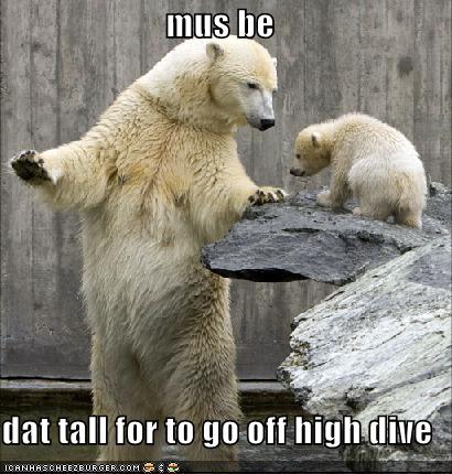 mus be dat tall for to go off high dive