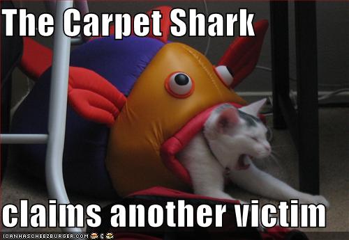 The Carpet Shark claims another victim
